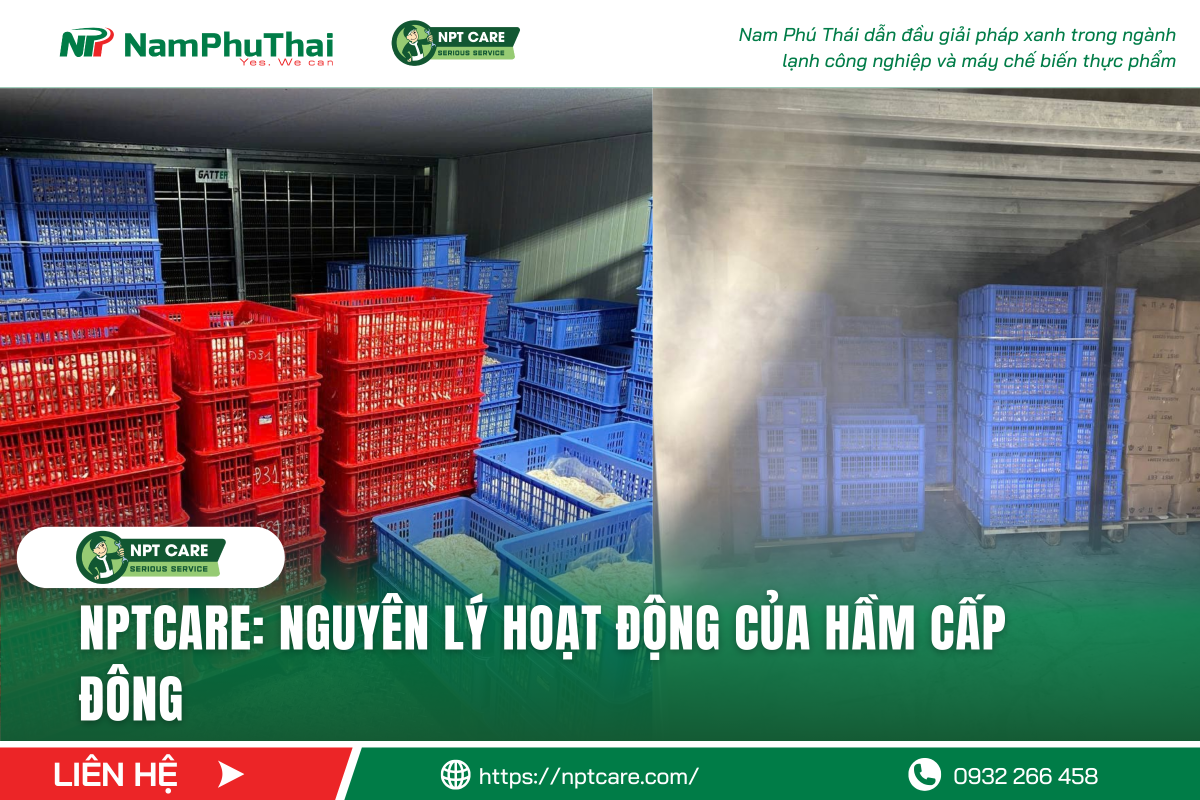 NPT CARE